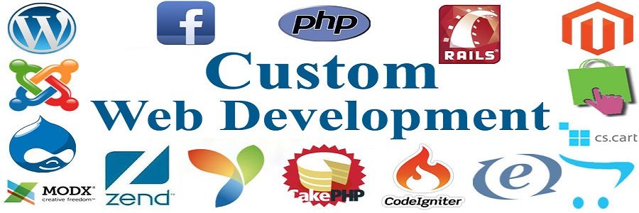 Global IT Solution custom web application development